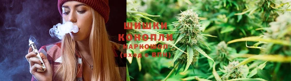 спайс Алексин