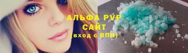 индика Алзамай