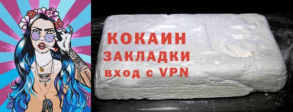 индика Алзамай