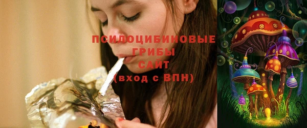 PSILOCYBIN Алексеевка