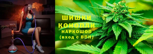 PSILOCYBIN Алексеевка