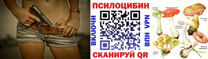 где продают   darknet какой сайт  Галлюциногенные грибы мухоморы  Аша 